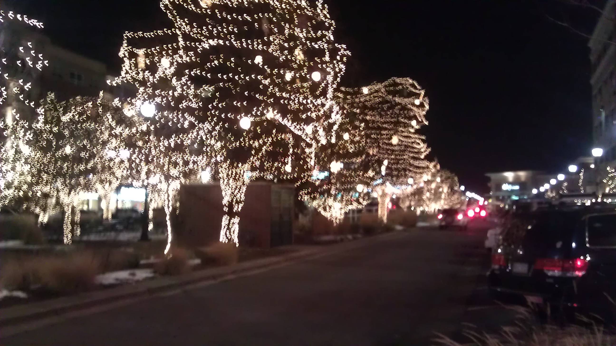 Christmas Lights near my home in Centennial, CO